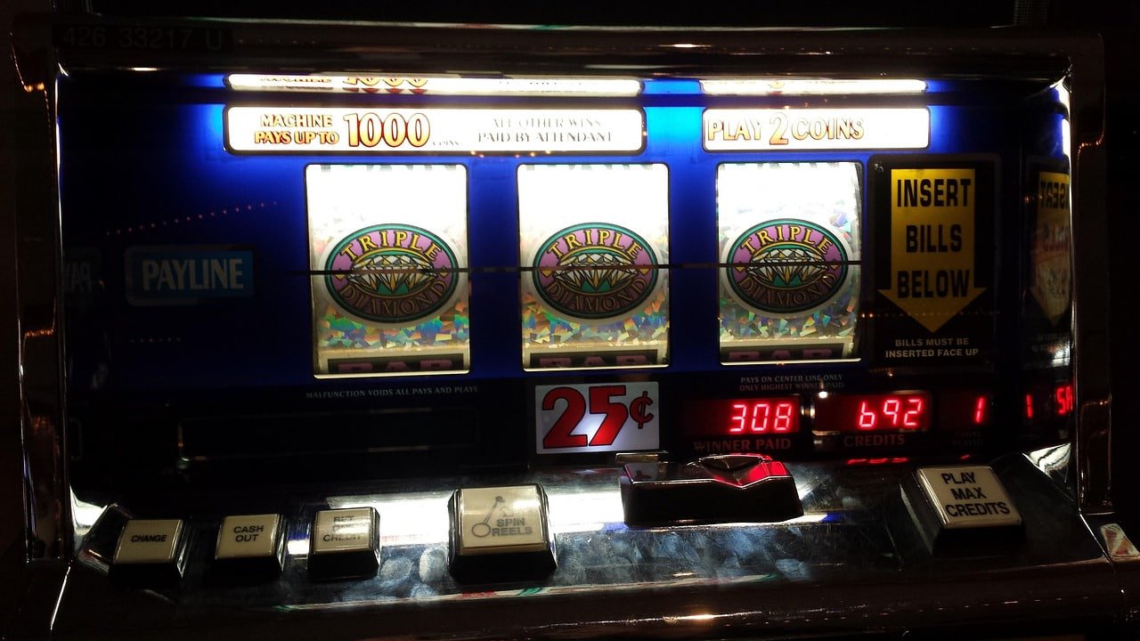 566bed